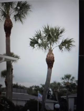 Photo #5: G5101272 Listing 