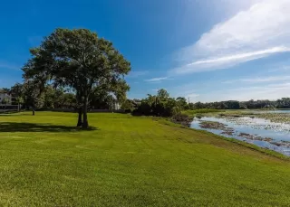 Photo #1: NS1083577 Listing