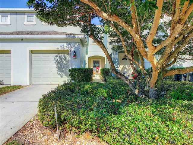 MLS: O5909437 Condo For Sale