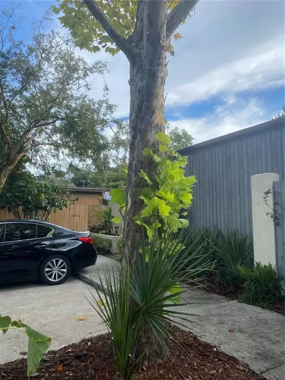 MLS: O5980843 Condo For Sale