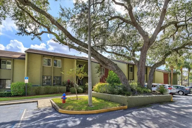 MLS: O5981465 Condo For Sale