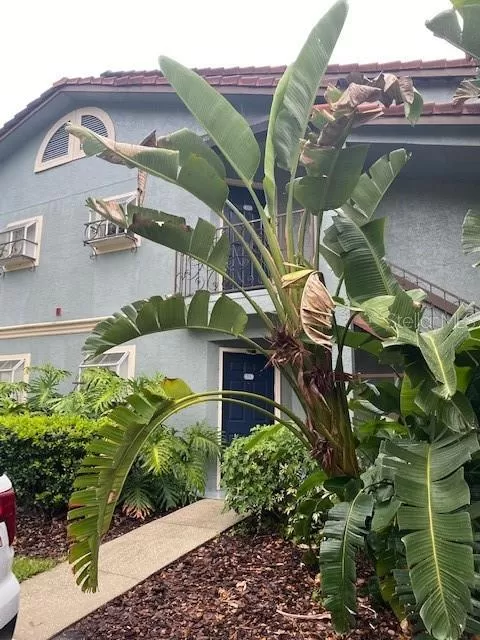 MLS: O6044016 Condo For Sale