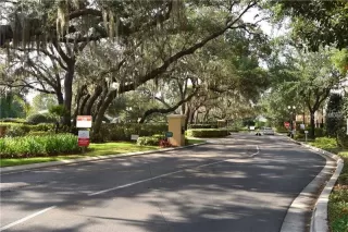 Photo #2: O6209268 Listing