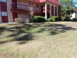 Primary Photo for MLS#: O6260088