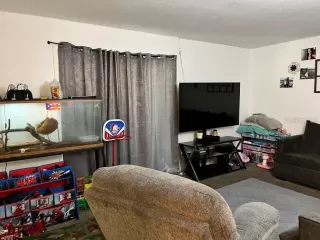 Photo #3: O6273806 Listing