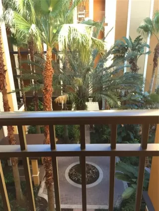 Photo #1: O6275142 Listing