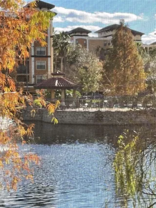 Photo #4: O6281537 Listing 