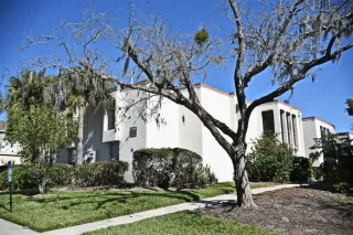 Primary Photo for MLS#: O6282819