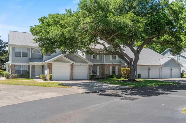 MLS: O6293906 Condo For Sale