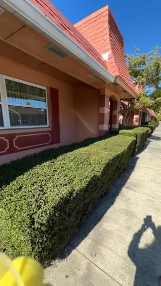 Photo #2: O6301553 Listing