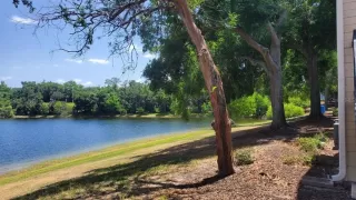 Photo #5: O6303770 Listing 