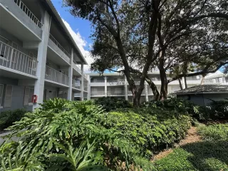 Photo #1: O6306304 Listing 