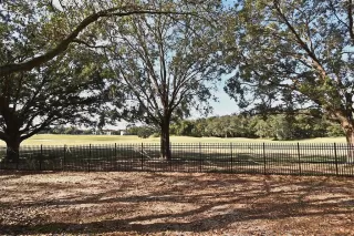 Photo #5: O6306392 Listing