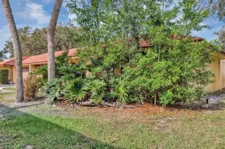 Photo #2: O6308014 Listing