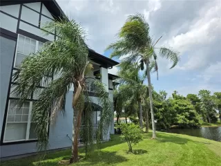 Photo #2: O6314631 Listing