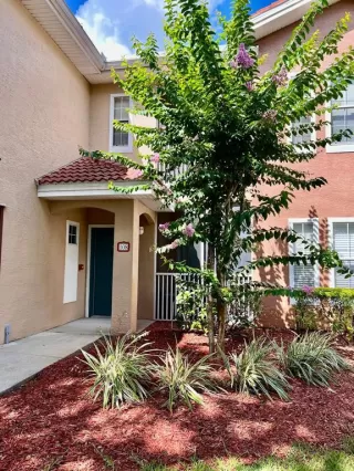 Photo #1: O6318702 Listing