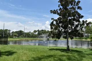 Photo #3: O6319265 Listing