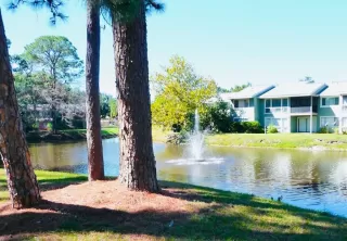 Photo #6: O6328557 Listing