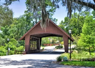 Photo #1: O6329939 Listing