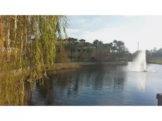 Photo #5: O6330299 Listing 