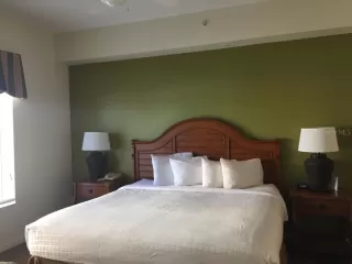 Photo #5: O6334289 Listing 