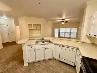 Photo #5: O6339254 Listing