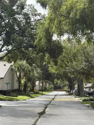 Photo #1: O6342993 Listing 