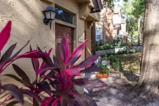 Photo #1: O6343163 Listing 