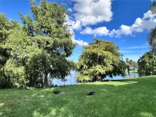 Photo #2: O6347885 Listing 