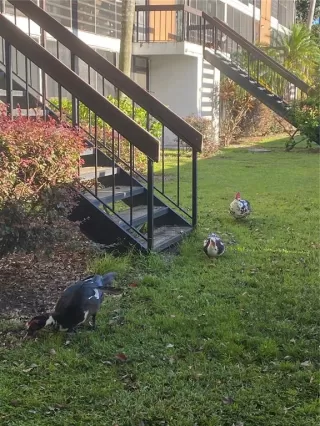 Photo #2: O6349971 Listing 