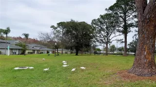 Photo #4: O6350242 Listing