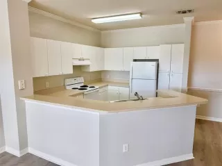 Photo #1: O6353221 Listing