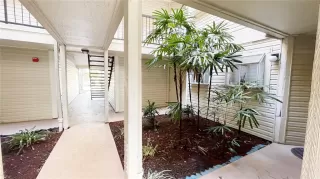 Photo #1: O6354614 Listing 