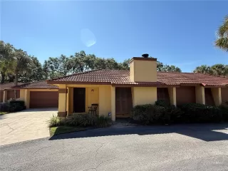 Primary Photo for MLS#: O6355834