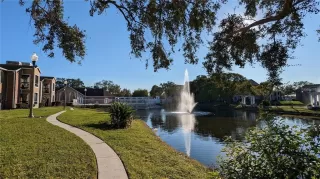 Photo #5: O6356807 Listing