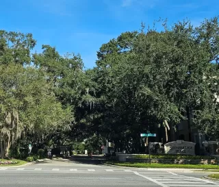 Photo #1: O6360222 Listing