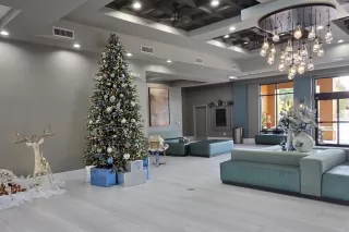 Photo #1: O6362854 Listing 