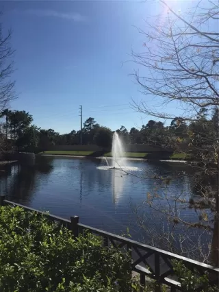 Photo #6: O6363331 Listing