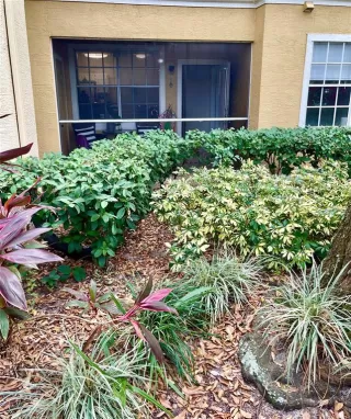 Photo #1: O6364560 Listing 