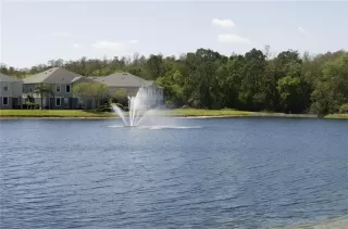 Photo #1: O6371970 Listing 