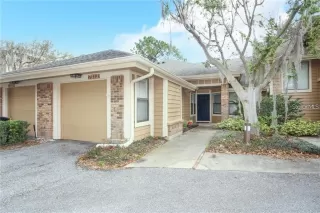 Primary Photo for MLS#: O6375377