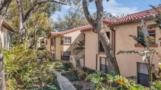 Photo #1: O6377375 Listing