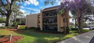 Photo #2: O6379716 Listing 