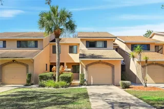 Primary Photo for MLS#: O6382625