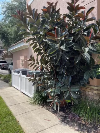 Photo #3: O6385269 Listing 