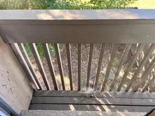 Photo #5: O6385441 Listing 