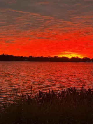 Photo #3: O6385626 Listing 