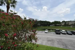 Photo #3: O6389631 Listing 