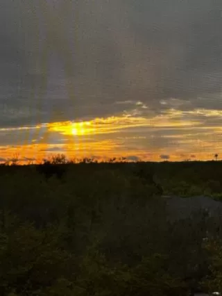 Photo #6: O6390453 Listing 