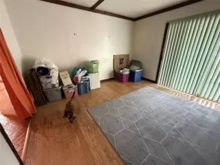 Photo #1: O6390696 Listing